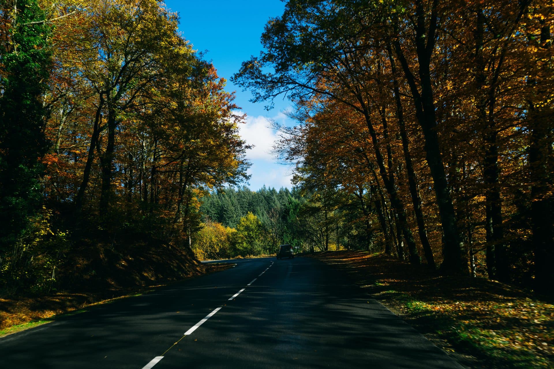 Automne en Nouvelle-Aquitaine